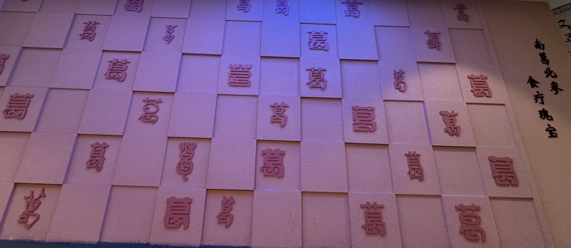 1745137457683561.jpg 百葛墻2.jpg