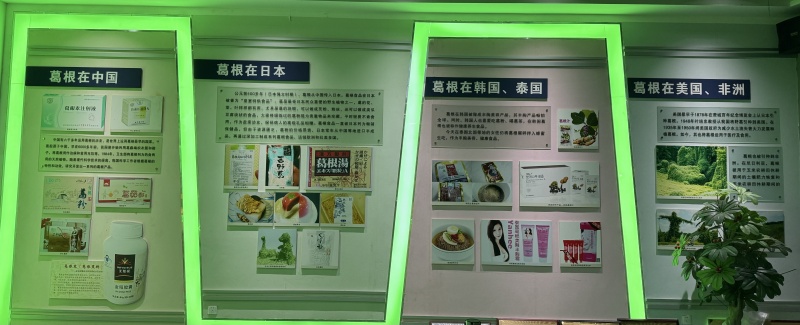 1745219338203449.jpg 葛根在全球的應(yīng)用.jpg