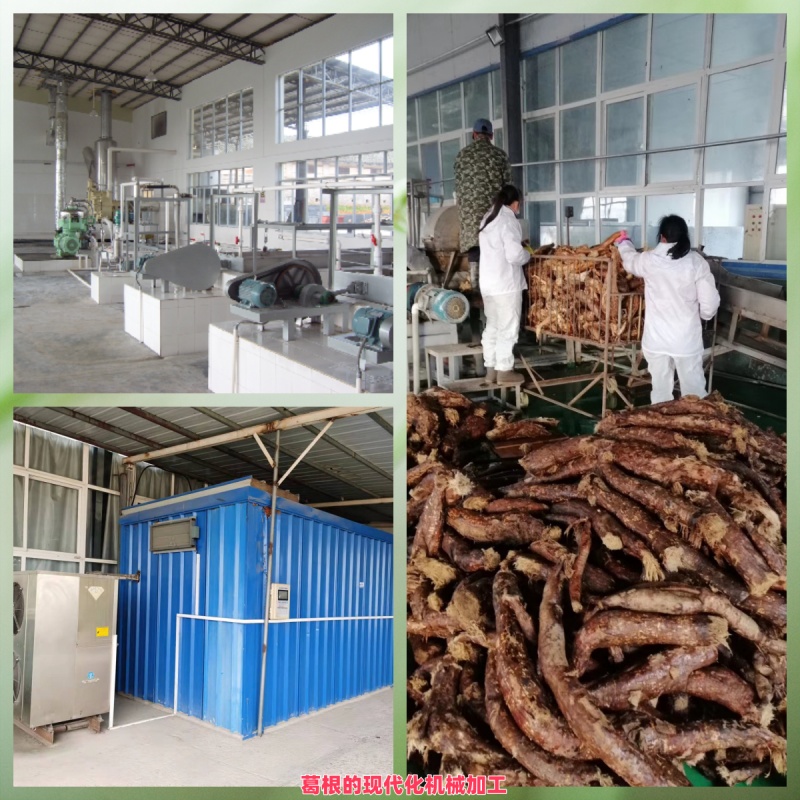 葛根的現(xiàn)代化機械加工.jpg