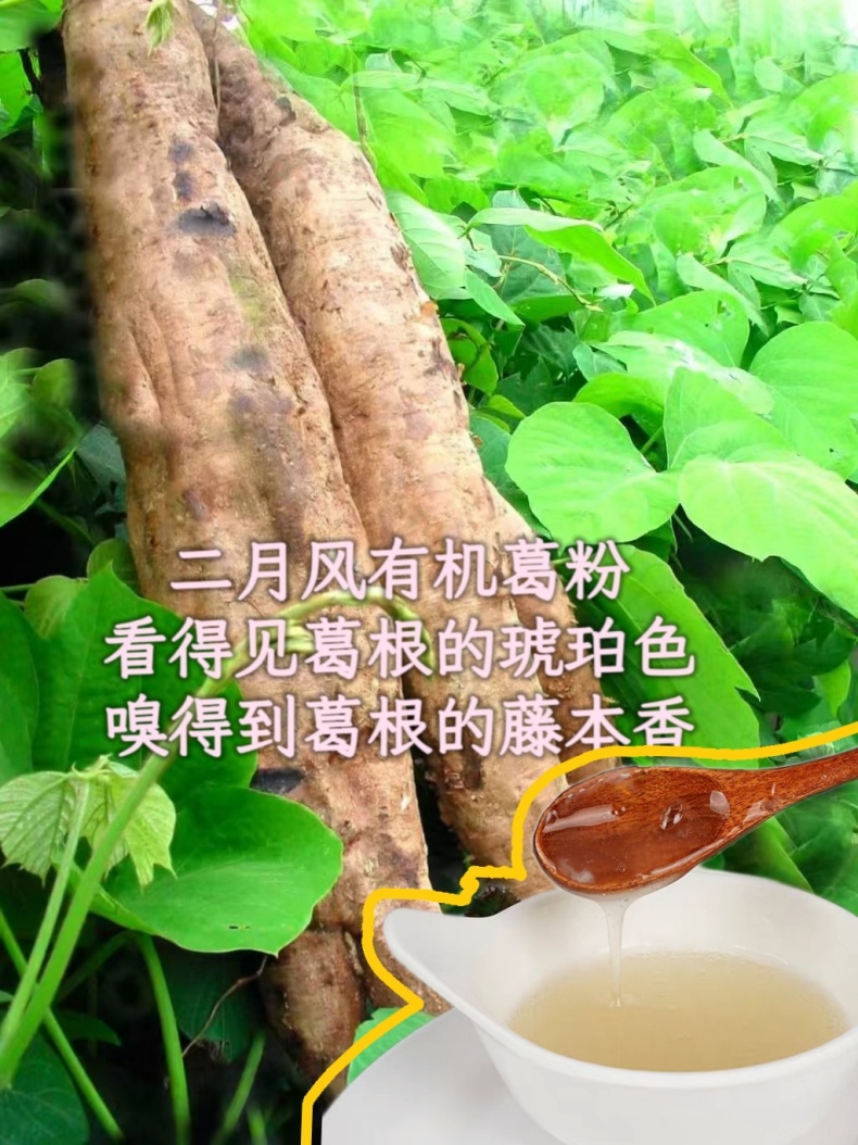 二月風(fēng)有機(jī)葛粉，看得見葛根的琥珀色，嗅得到葛根的藤本香_790.jpg