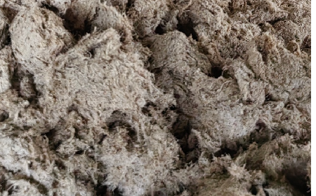 深入大洪山，只為一口純凈 -二月風(fēng)今冬野生葛根收購(gòu)紀(jì)實(shí)